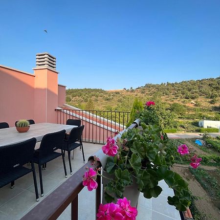 San Martín de Moncayo Apartamentos La Flor מראה חיצוני תמונה