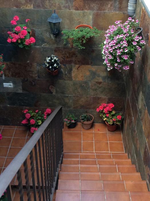 San Martín de Moncayo Apartamentos La Flor מראה חיצוני תמונה